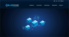 Desktop Screenshot of blueridgenetworks.com