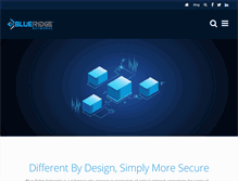 Tablet Screenshot of blueridgenetworks.com